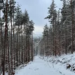 Südpfälzer Wald Ferienhaus *