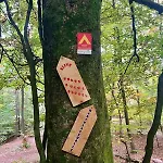Südpfälzer Wald Ferienhaus