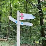 Südpfälzer Wald Ferienhaus *