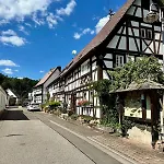 Südpfälzer Wald