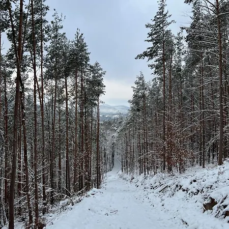 Südpfälzer Wald Ferienhaus *