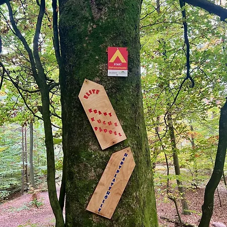 Südpfälzer Wald Ferienhaus