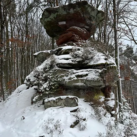 Ferienhaus Südpfälzer Wald Spirkelbach