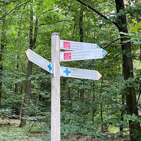 Südpfälzer Wald Ferienhaus *