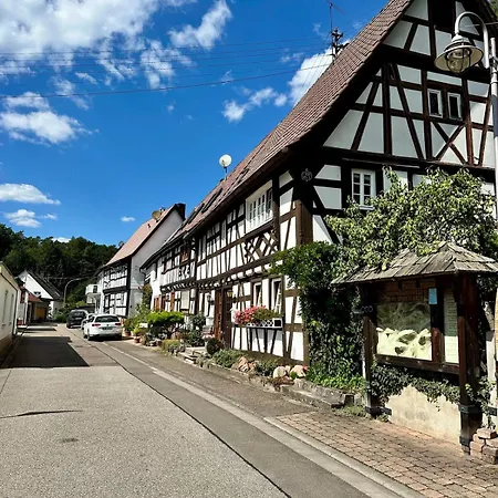 Südpfälzer Wald