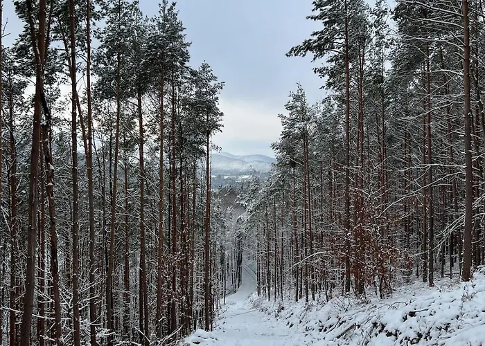 Suedpfaelzer Wald 펜션 *