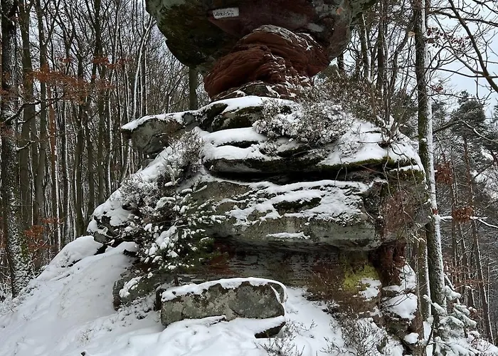 펜션 Suedpfaelzer Wald Spirkelbach